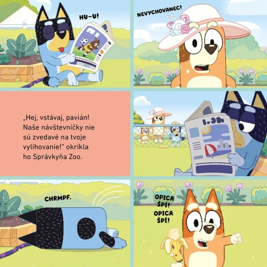 Bluey Zoo