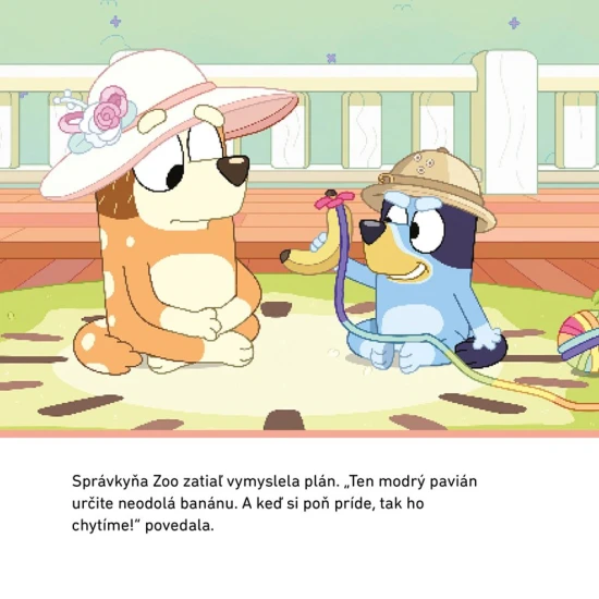 Bluey Zoo