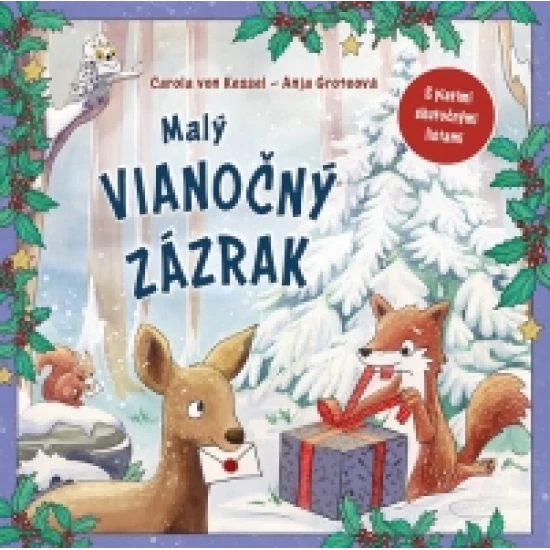 Malý vianočný zázrak - obálka knihy