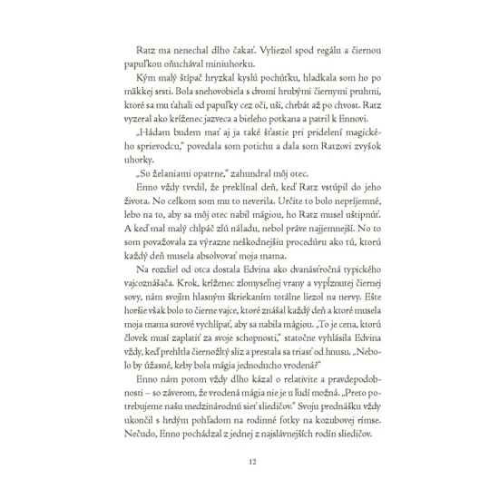 Magickí agenti 1 S vílami v Dubline