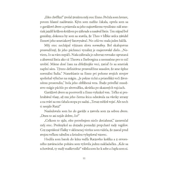 Magickí agenti 1 S vílami v Dubline