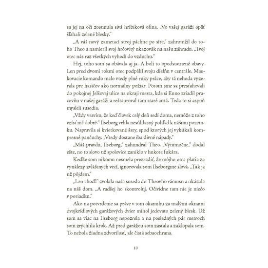 Magickí agenti 1 S vílami v Dubline