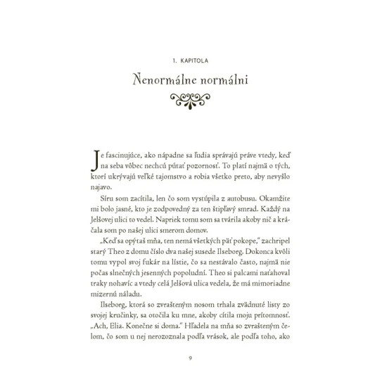 Magickí agenti 1 S vílami v Dubline