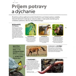Detská encyklopédia zvierat