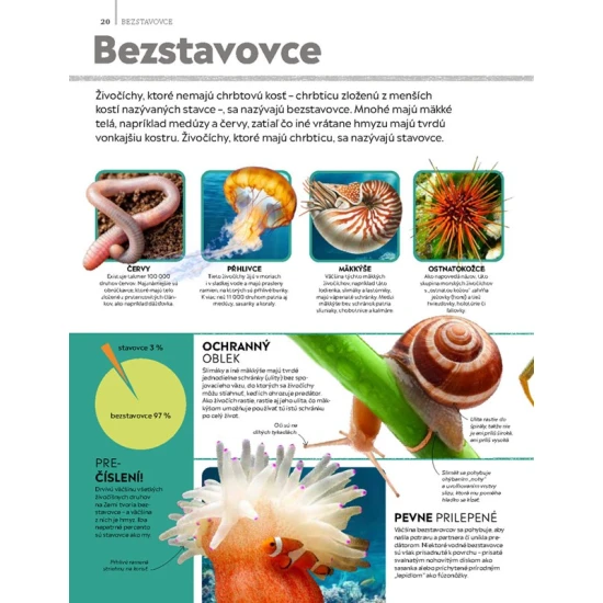 Detská encyklopédia zvierat – kniha pre deti
