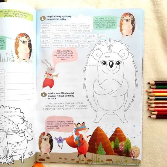 Pracovný zošit pre 2. ročník ZŠ na precvičovanie spoluhlások a správneho písania.