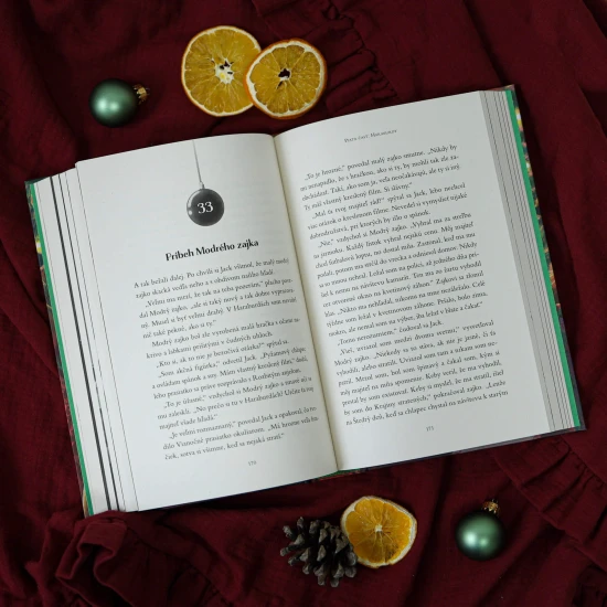 Dobrodružný príbeh o vzácnom pute medzi chlapcom a jeho najmilšou hračkou.