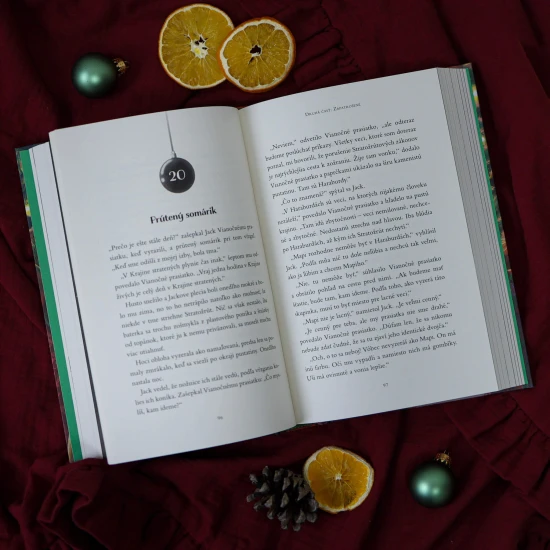 Dobrodružný príbeh o vzácnom pute medzi chlapcom a jeho najmilšou hračkou.