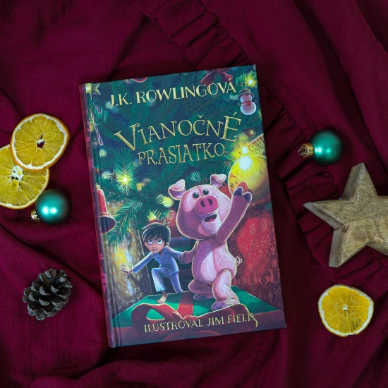 Dobrodružný príbeh o vzácnom pute medzi chlapcom a jeho najmilšou hračkou.