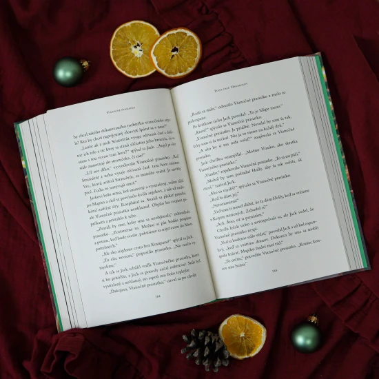 Dobrodružný príbeh o vzácnom pute medzi chlapcom a jeho najmilšou hračkou.