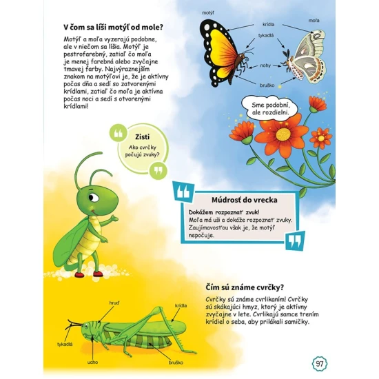 Deti sa pýtajú ČO? – Kniha, ktorá odpovie za vás