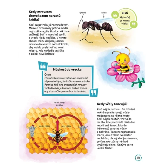 Deti sa pýtajú KEDY? – Kniha, ktorá odpovie za vás