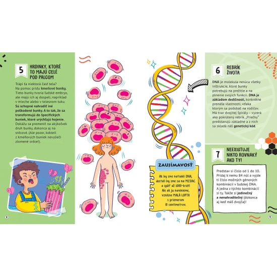 101 zábavných faktov Ľudské telo