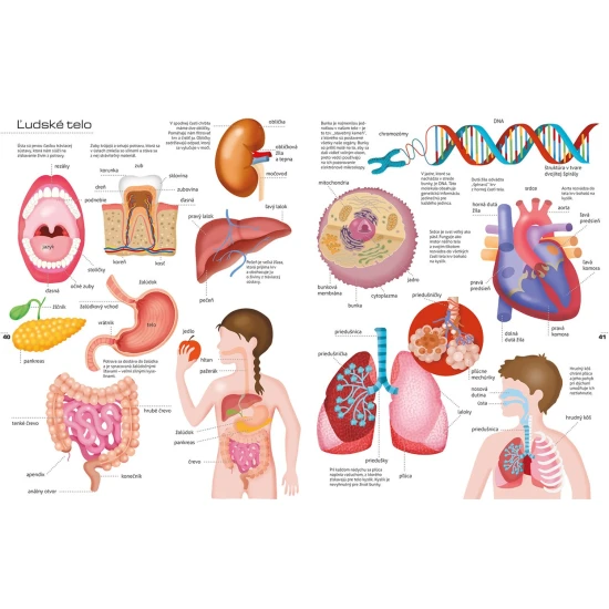 Moja veľká obrázková encyklopédia