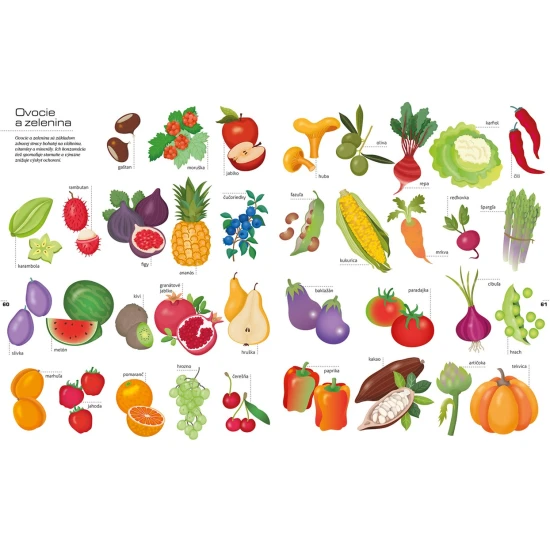 Moja veľká obrázková encyklopédia