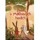 Život v Malinových horách - obalka knihy
