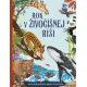 Rok v živočíšnej ríši – 366 fascinujúcich živočíchov na každý deň