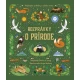 Rozprávky o prírode – Čarovné príbehy zo všetkých kútov sveta