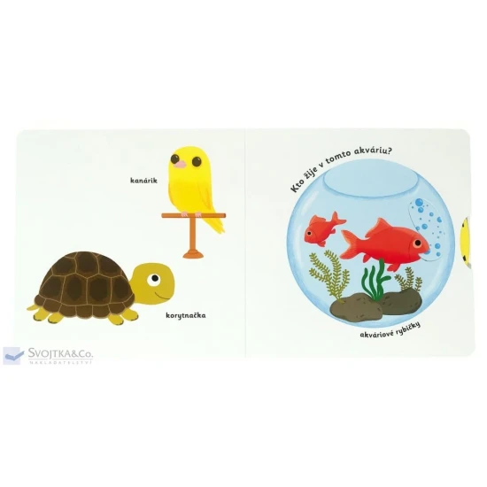 MiniPÉDIA - Objavujeme svet! Domáci maznáčikovia