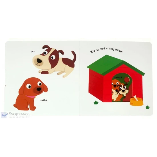 MiniPÉDIA - Objavujeme svet! Domáci maznáčikovia