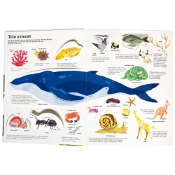 Naj... ZVIERATÁ v pohybe