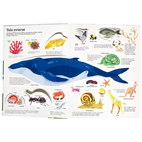 Naj... ZVIERATÁ v pohybe