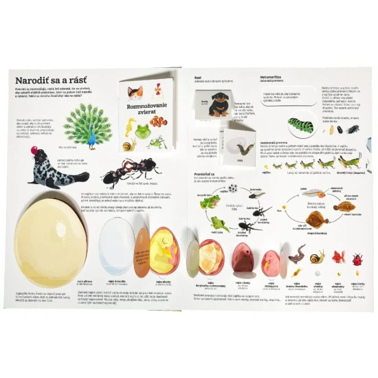 Naj... ZVIERATÁ v pohybe