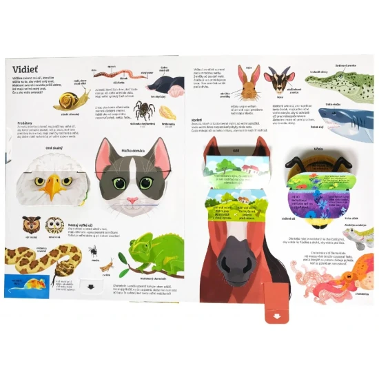 Naj... ZVIERATÁ v pohybe