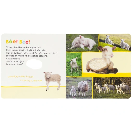 Zapojte všetky zmysly Vášho dieťatka pri objavovaní sveta naokolo pomocou plyšovej hračky. 