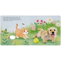 Počúvaj, mačiatko!