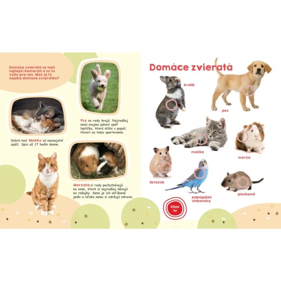 Objavte fascinujúce zvuky 50 zvierat z celého sveta v tejto veľkej zvukovej knihe plnej fotografií a zaujímavých informácií.