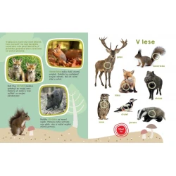 Moja veľká kniha - Zvuky zvierat