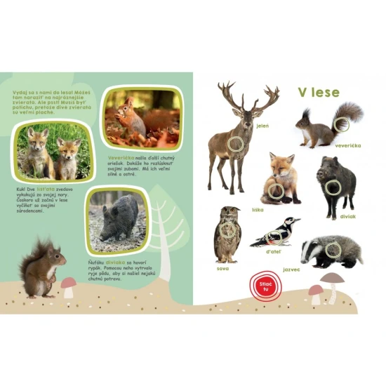 Objavte fascinujúce zvuky 50 zvierat z celého sveta v tejto veľkej zvukovej knihe plnej fotografií a zaujímavých informácií.