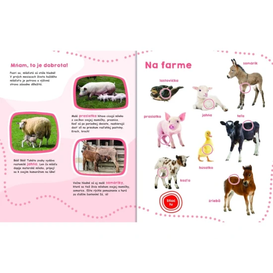 Veľká zvuková kniha so 43 zvukmi zvierat a mláďat, plná fotografií a zaujímavých informácií o prírode.