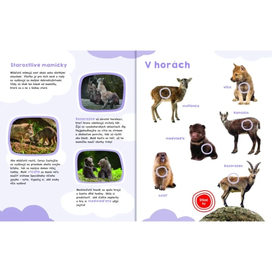 Veľká zvuková kniha so 43 zvukmi zvierat a mláďat, plná fotografií a zaujímavých informácií o prírode.