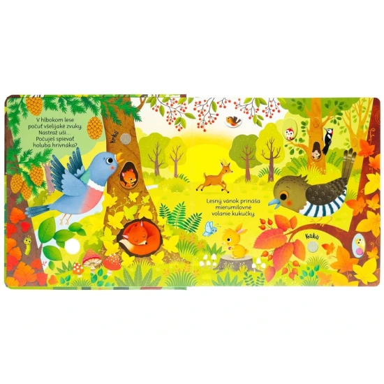 Zvuky lesa: Zvuková kniha so zvieratami a krásnymi ilustráciami