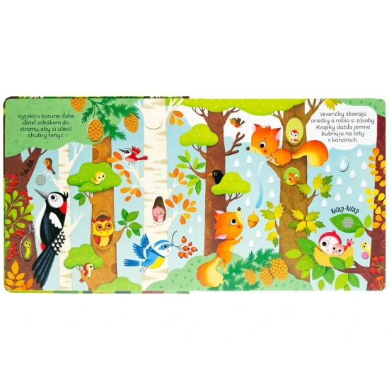 Zvuky lesa: Zvuková kniha so zvieratami a krásnymi ilustráciami