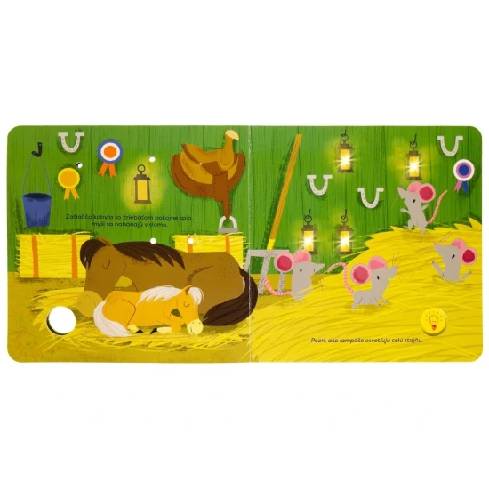 Kniha so svetielkami na farme, deti objavujú zvieratá v noci pomocou svetielok