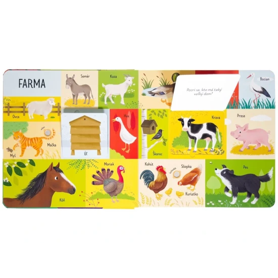 Zvuková kniha „101 prvých slov - Zvieratá“ – objavujte svet zvierat so zvukmi