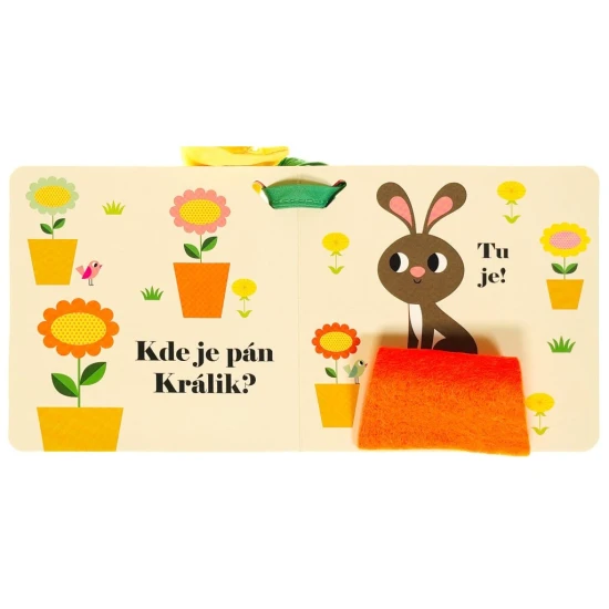 Prvá knižka pre bábätká: Kde sa skrýva pán Psík?