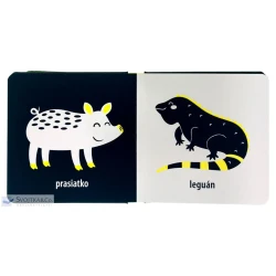 Hav, hav! Domáce zvieratá