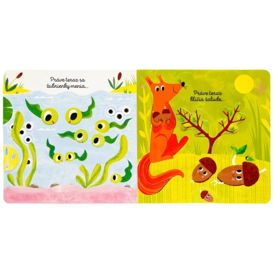 Detské interaktívne leporelo o prírode a jej premenách.