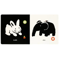 Moje zvieratká - Zvuková kniha