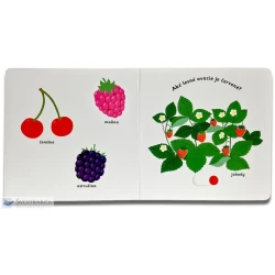 MiniPÉDIA - Objavujeme svet! Ovocie