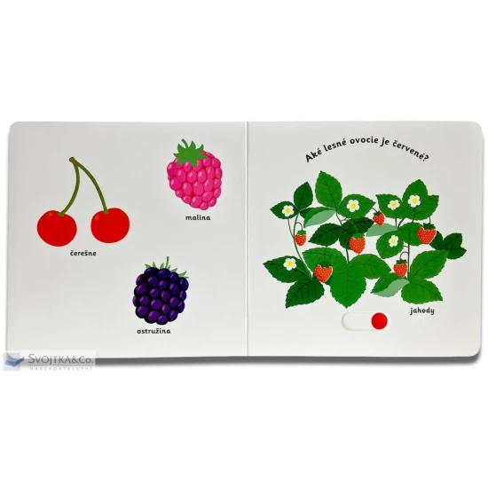 MiniPÉDIA - Objavujeme svet! Ovocie