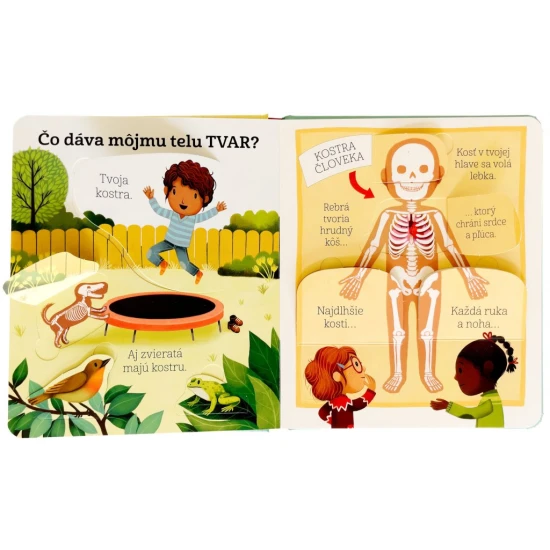 Leporelo s odklápacími okienkami jednoducho a zrozumiteľne zoznamuje malé deti s ľudským telom a odpovie na časté otázky, ktoré deti rady kladú.
