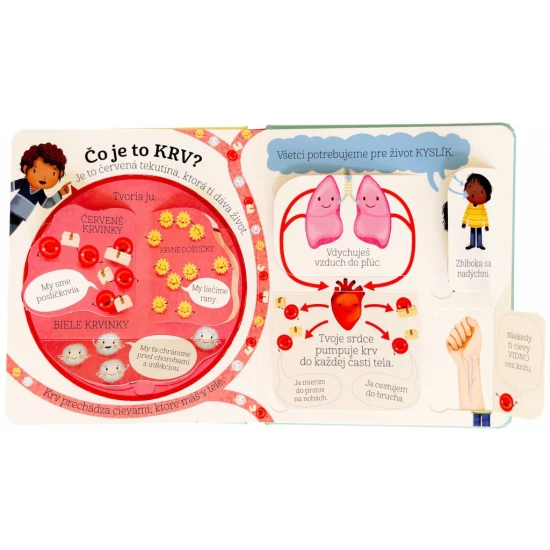 Leporelo s odklápacími okienkami jednoducho a zrozumiteľne zoznamuje malé deti s ľudským telom a odpovie na časté otázky, ktoré deti rady kladú.