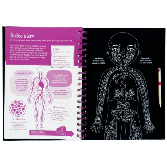 Priprav sa na prieskum ľudského tela a preškriab si cestu od hlavy až po päty.