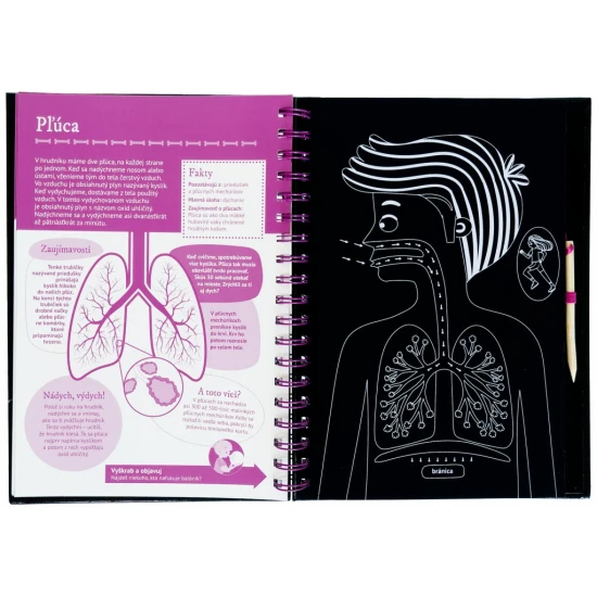 Priprav sa na prieskum ľudského tela a preškriab si cestu od hlavy až po päty.