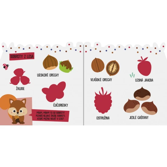 Dolepuj samolepky a spoznaj zvieratá z lesa.